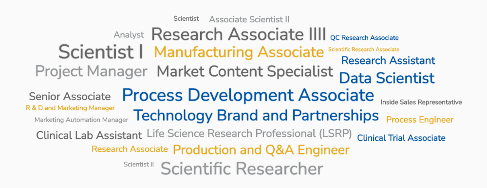 Jobs titles cloud An image showing some of the job titles our alumni hold.