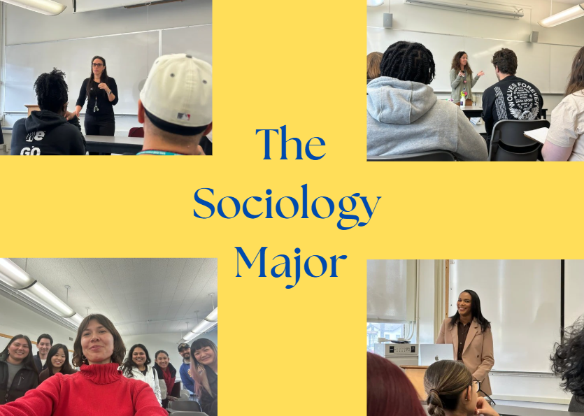Sociology 2026